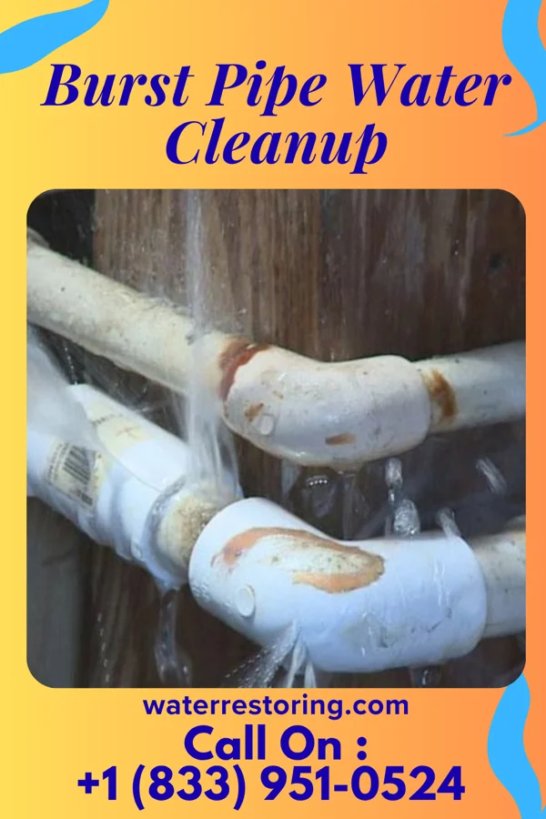 Burst Pipe Water Cleanup in Latimer, MS