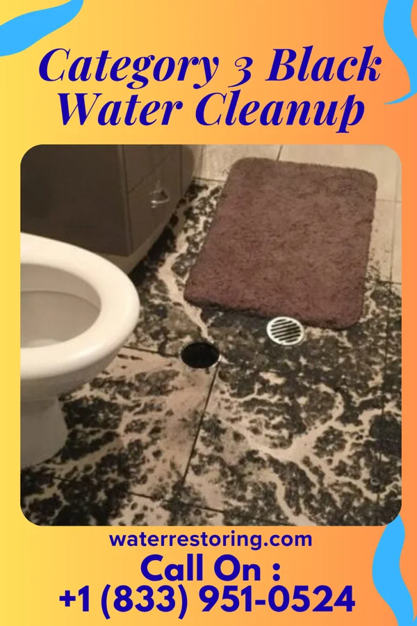 Category 3 Black Water Cleanup in Latimer, MS