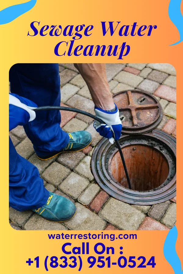 Sewage Water Cleanup in Latimer, MS