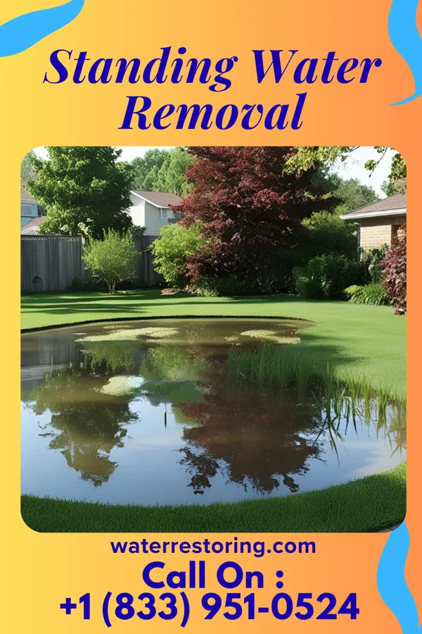 Standing Water Removal in Latimer, MS